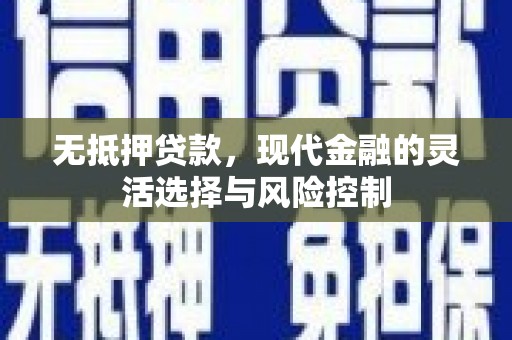 纳雍无抵押贷款，现代金融的灵活选择与风险控制