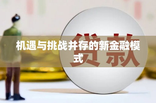 纳雍机遇与挑战并存的新金融模式