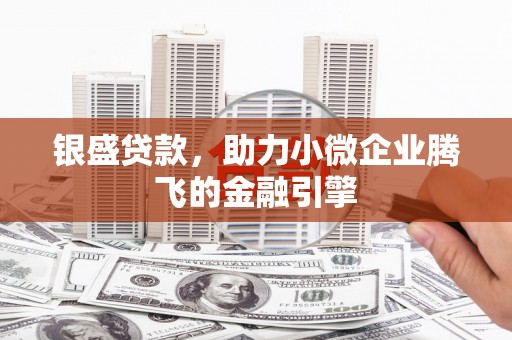纳雍银盛贷款，助力小微企业腾飞的金融引擎