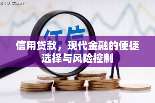 纳雍信用贷款，现代金融的便捷选择与风险控制
