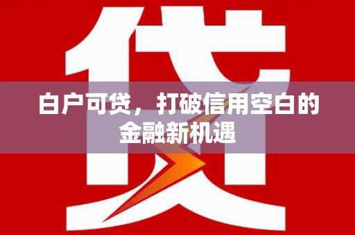 纳雍白户可贷，打破信用空白的金融新机遇