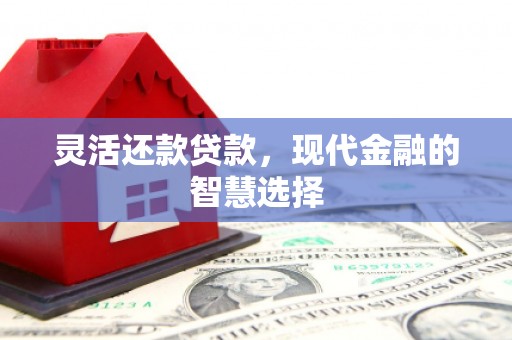 纳雍灵活还款贷款，现代金融的智慧选择
