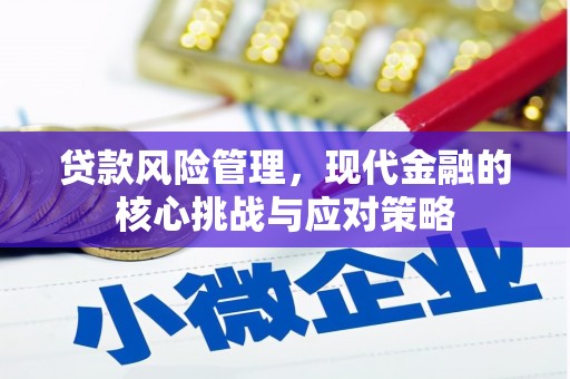纳雍贷款风险管理，现代金融的核心挑战与应对策略