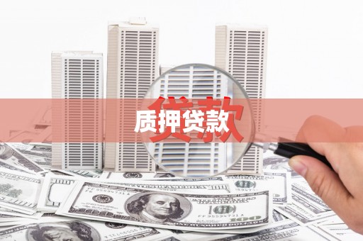 纳雍质押贷款
