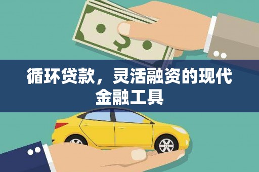 纳雍循环贷款，灵活融资的现代金融工具