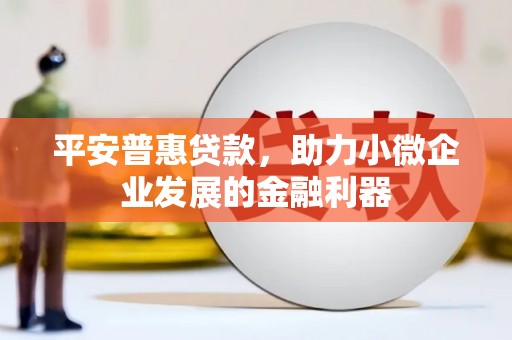 纳雍平安普惠贷款，助力小微企业发展的金融利器