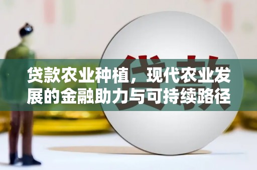 纳雍贷款农业种植，现代农业发展的金融助力与可持续路径