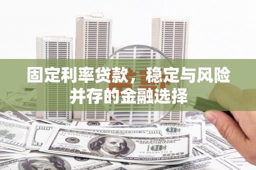 纳雍固定利率贷款，稳定与风险并存的金融选择