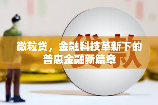 纳雍微粒贷，金融科技革新下的普惠金融新篇章