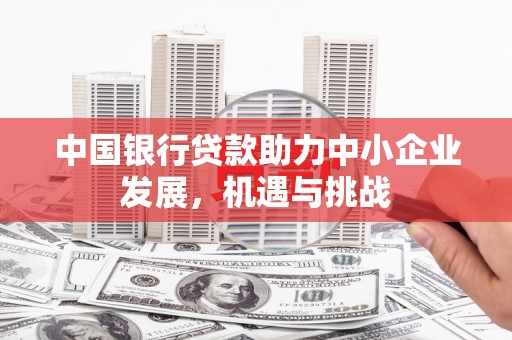 纳雍中国银行贷款助力中小企业发展，机遇与挑战