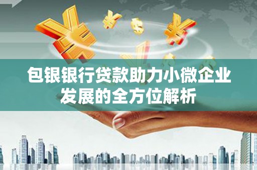纳雍包银银行贷款助力小微企业发展的全方位解析