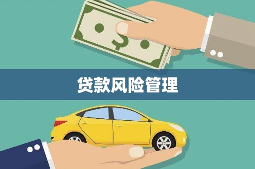 纳雍贷款风险管理