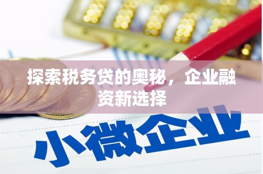 纳雍探索税务贷的奥秘，企业融资新选择