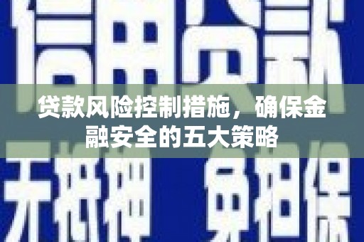 纳雍贷款风险控制措施，确保金融安全的五大策略