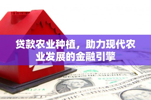 纳雍贷款农业种植，助力现代农业发展的金融引擎