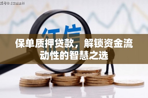 纳雍保单质押贷款，解锁资金流动性的智慧之选