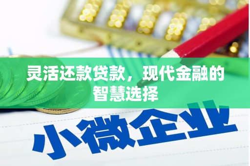 纳雍灵活还款贷款，现代金融的智慧选择