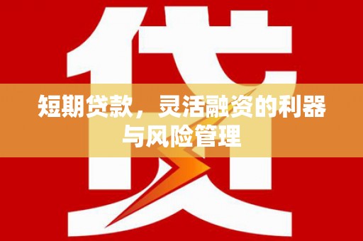 纳雍短期贷款，灵活融资的利器与风险管理