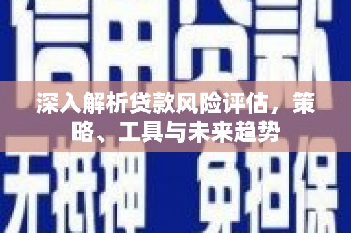 纳雍深入解析贷款风险评估，策略、工具与未来趋势