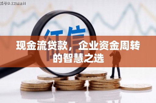 纳雍现金流贷款，企业资金周转的智慧之选