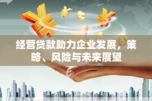 纳雍经营贷款助力企业发展，策略、风险与未来展望