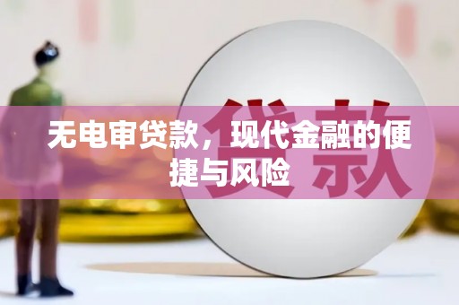 纳雍无电审贷款，现代金融的便捷与风险