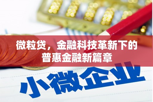 纳雍微粒贷，金融科技革新下的普惠金融新篇章