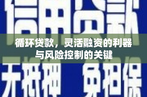 纳雍循环贷款，灵活融资的利器与风险控制的关键