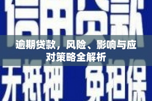 纳雍逾期贷款，风险、影响与应对策略全解析