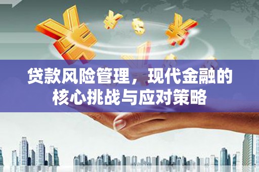 纳雍贷款风险管理，现代金融的核心挑战与应对策略