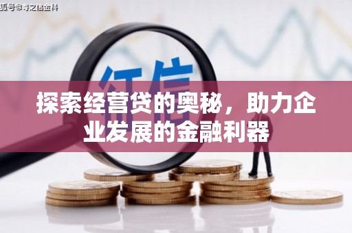 纳雍探索经营贷的奥秘，助力企业发展的金融利器