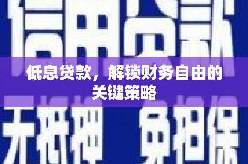 纳雍低息贷款，解锁财务自由的关键策略