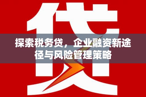 纳雍探索税务贷，企业融资新途径与风险管理策略
