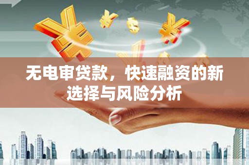 纳雍无电审贷款，快速融资的新选择与风险分析