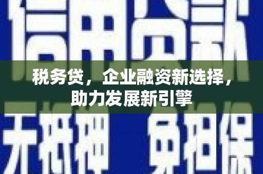 纳雍税务贷，企业融资新选择，助力发展新引擎