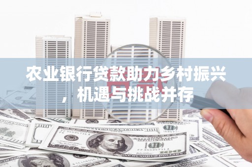 纳雍农业银行贷款助力乡村振兴，机遇与挑战并存
