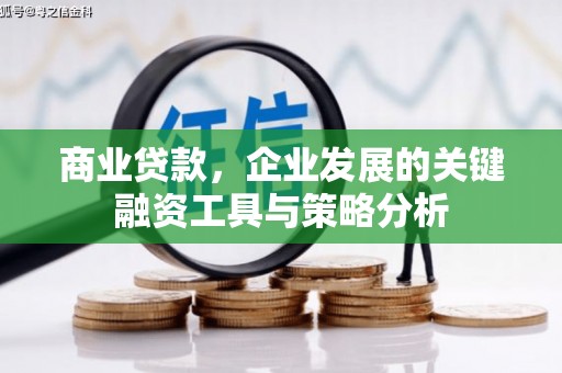 纳雍商业贷款，企业发展的关键融资工具与策略分析