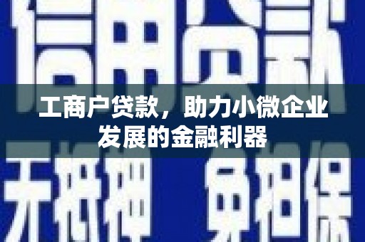 纳雍工商户贷款，助力小微企业发展的金融利器