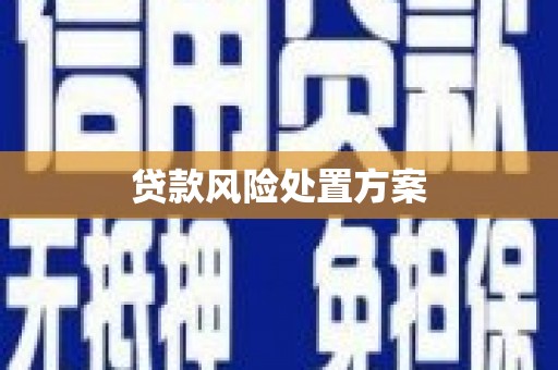 纳雍贷款风险处置方案