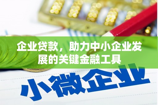 纳雍企业贷款，助力中小企业发展的关键金融工具