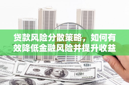 纳雍贷款风险分散策略，如何有效降低金融风险并提升收益