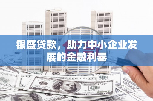 纳雍银盛贷款，助力中小企业发展的金融利器