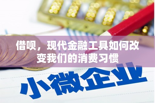 纳雍借呗，现代金融工具如何改变我们的消费习惯