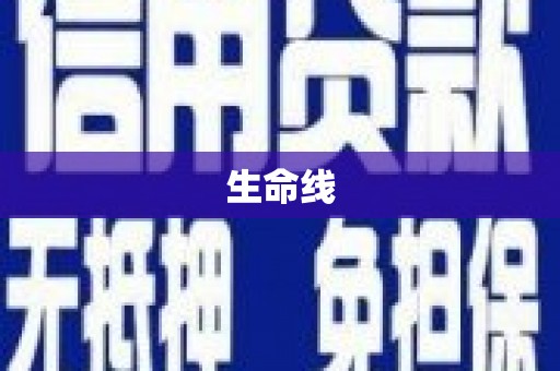 纳雍生命线