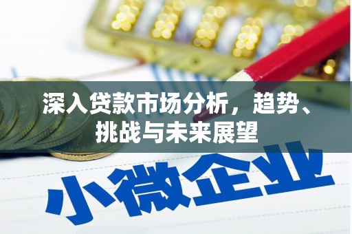 纳雍深入贷款市场分析，趋势、挑战与未来展望