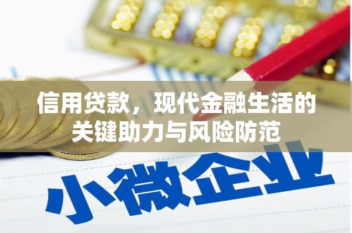 纳雍信用贷款，现代金融生活的关键助力与风险防范