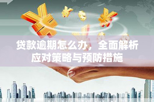 纳雍贷款逾期怎么办，全面解析应对策略与预防措施