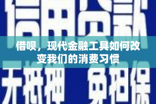 纳雍借呗，现代金融工具如何改变我们的消费习惯