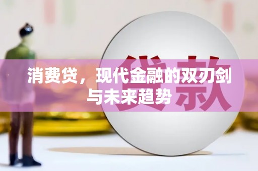 纳雍消费贷，现代金融的双刃剑与未来趋势