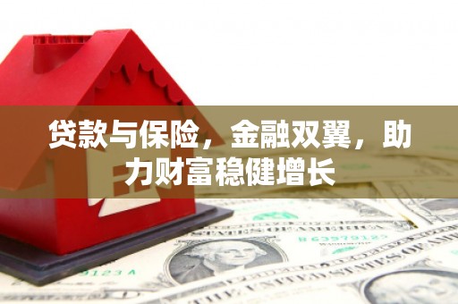 纳雍贷款与保险，金融双翼，助力财富稳健增长